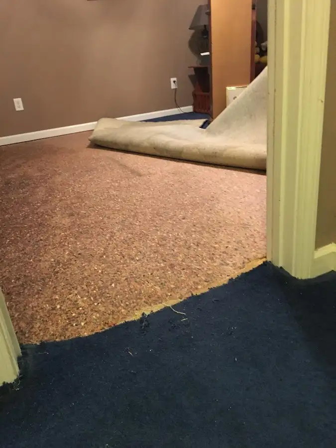 Carpet pad removal revealing water damage during Drying & Dehumidification in East Hampton